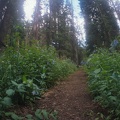 Baker Gulch Trail